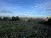 Ver detalhes: Venda Terreno R�stico