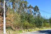 Ver detalhes: Venda Terreno R�stico