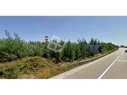 Ver detalhes: Arrendamento Terreno R�stico