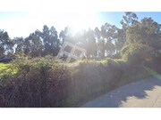 Ver detalhes: Arrendamento Terreno Rstico