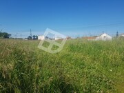 Ver detalhes: Venda Terreno R�stico