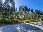 Show profile: Sell House T4