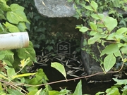 Ver detalhes: Venda Terreno Urbano T0