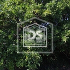 Show profile: Sell Rustic Land T0