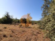 Ver detalhes: Venda Terreno R�stico