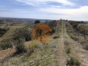Ver detalhes: Venda Terreno R�stico