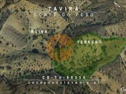 Ver detalhes: Venda Terreno R�stico