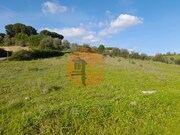 Show profile: Sell Rustic Land