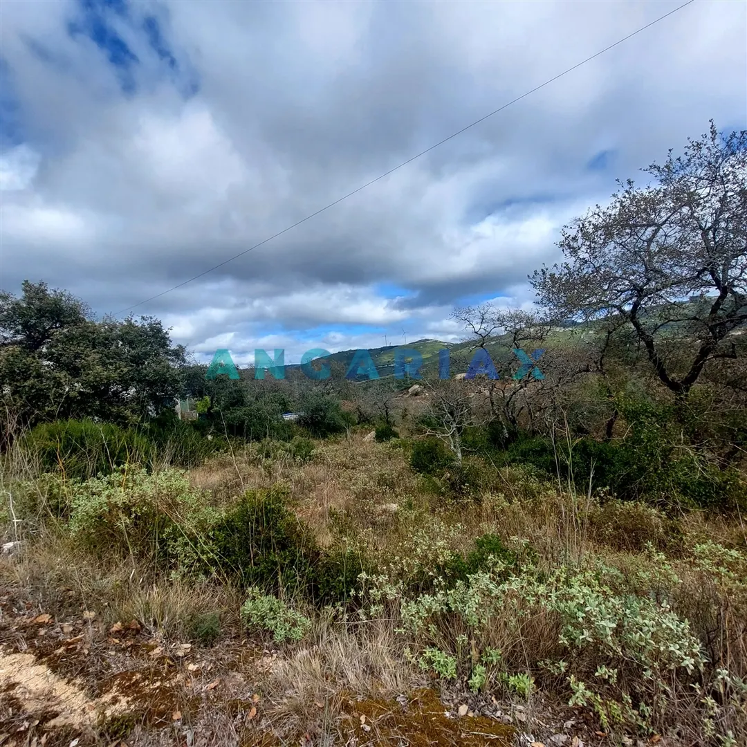 Show profile: Sell Rustic Land T0