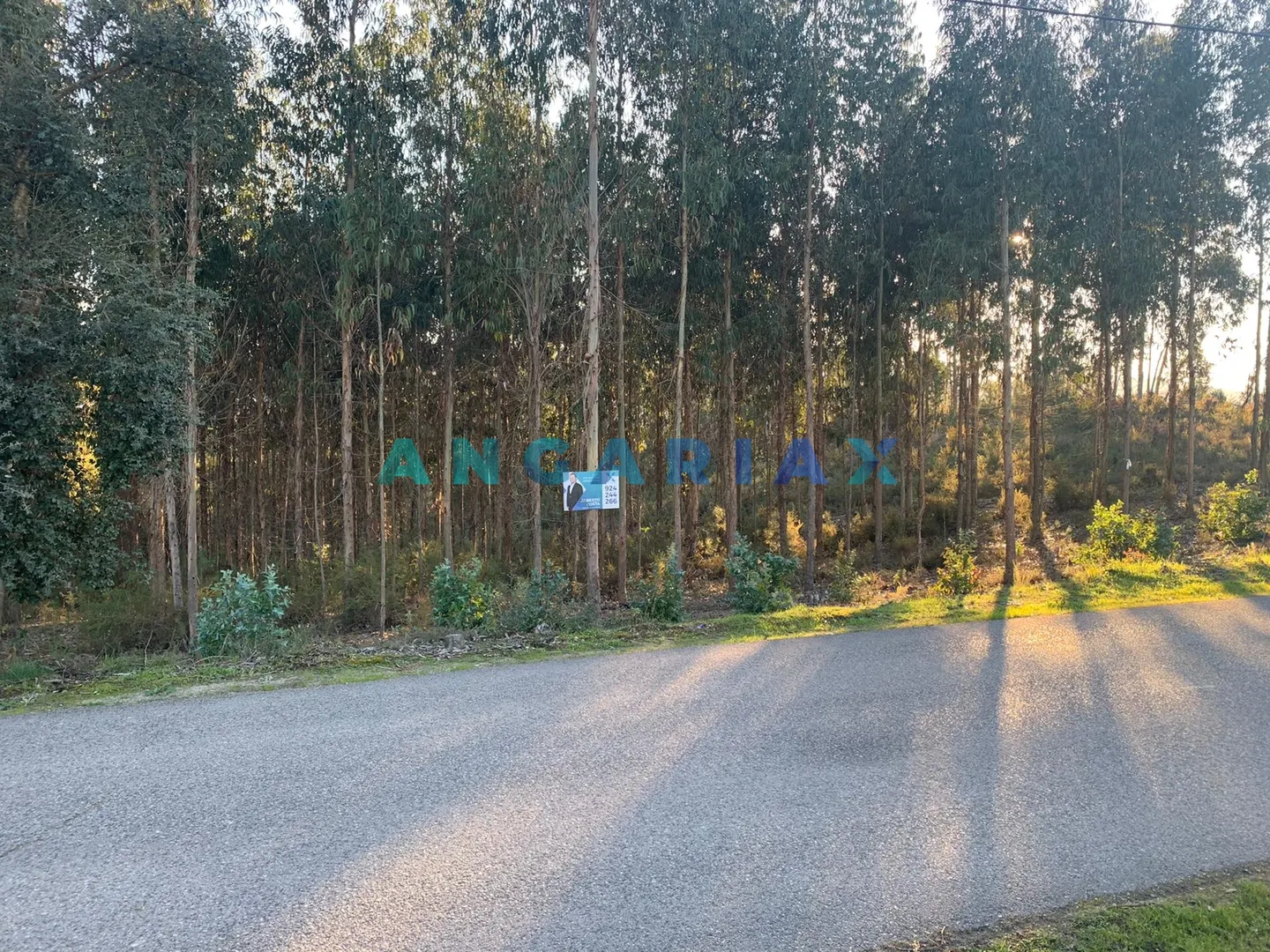 Ver detalhes: Venda Terreno Urbano T0