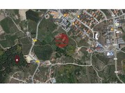 Show profile: Sell Rustic Land