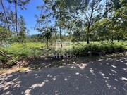 Show profile: Sell Rustic Land