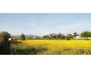 Ver detalhes: Venda Terreno R�stico