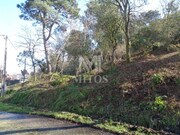 Ver detalhes: Venda Terreno R�stico