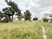 Show profile: Sell Rustic Land