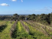 Show profile: Sell House T4