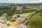Ver detalhes: Venda Terreno R�stico T0
