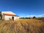 Show profile: Sell Farm T0