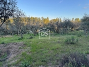 Show profile: Sell Rustic Land T0