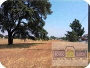 Show profile: Sell Rustic Land T0