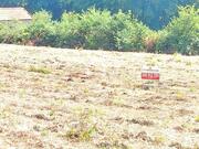 Ver detalhes: Venda Terreno R�stico T0