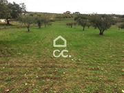 Ver detalhes: Venda Terreno R�stico T0