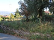 Ver detalhes: Venda Terreno R�stico