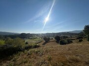 Show profile: Sell Rustic Land