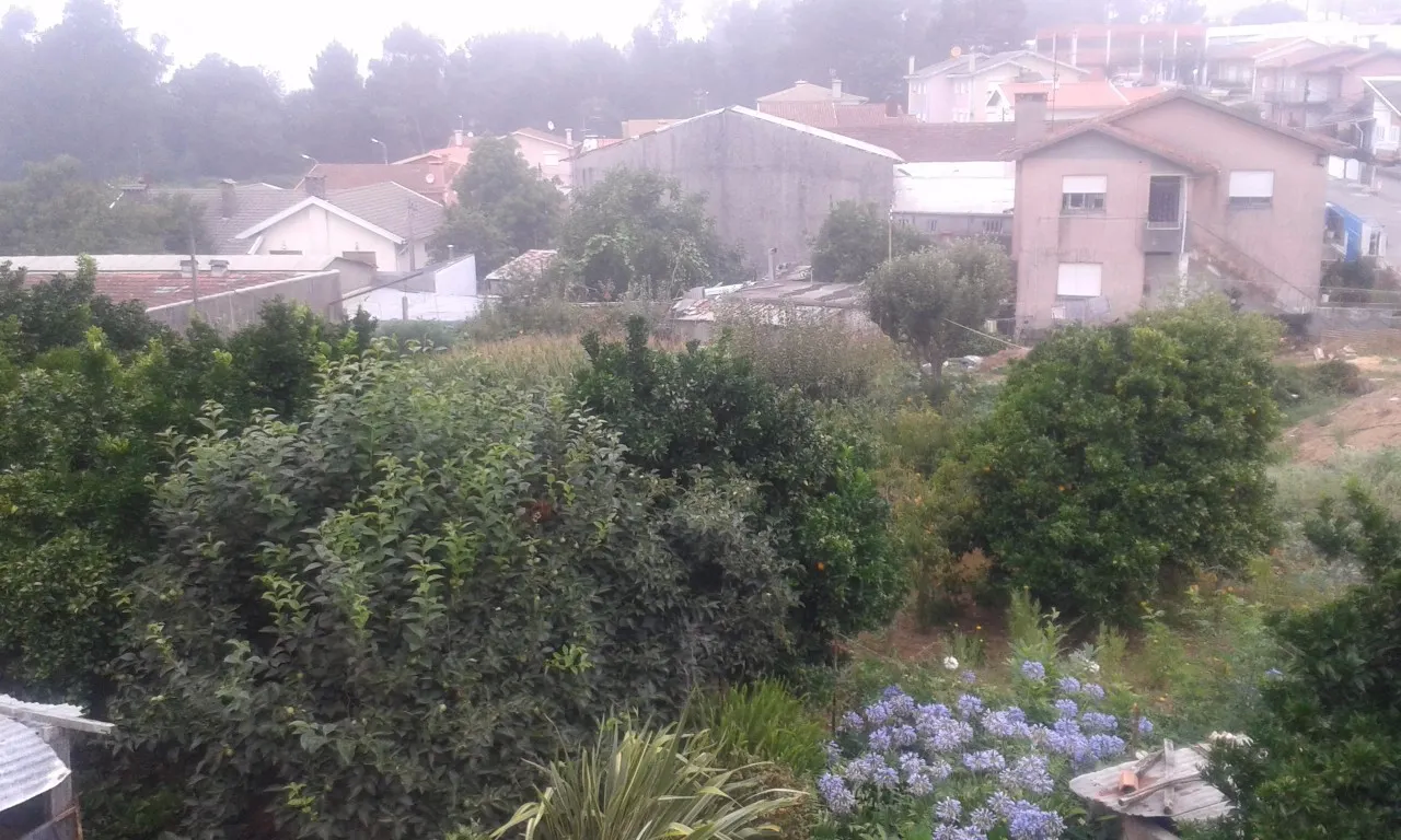 Ver detalhes: Venda Terreno R�stico