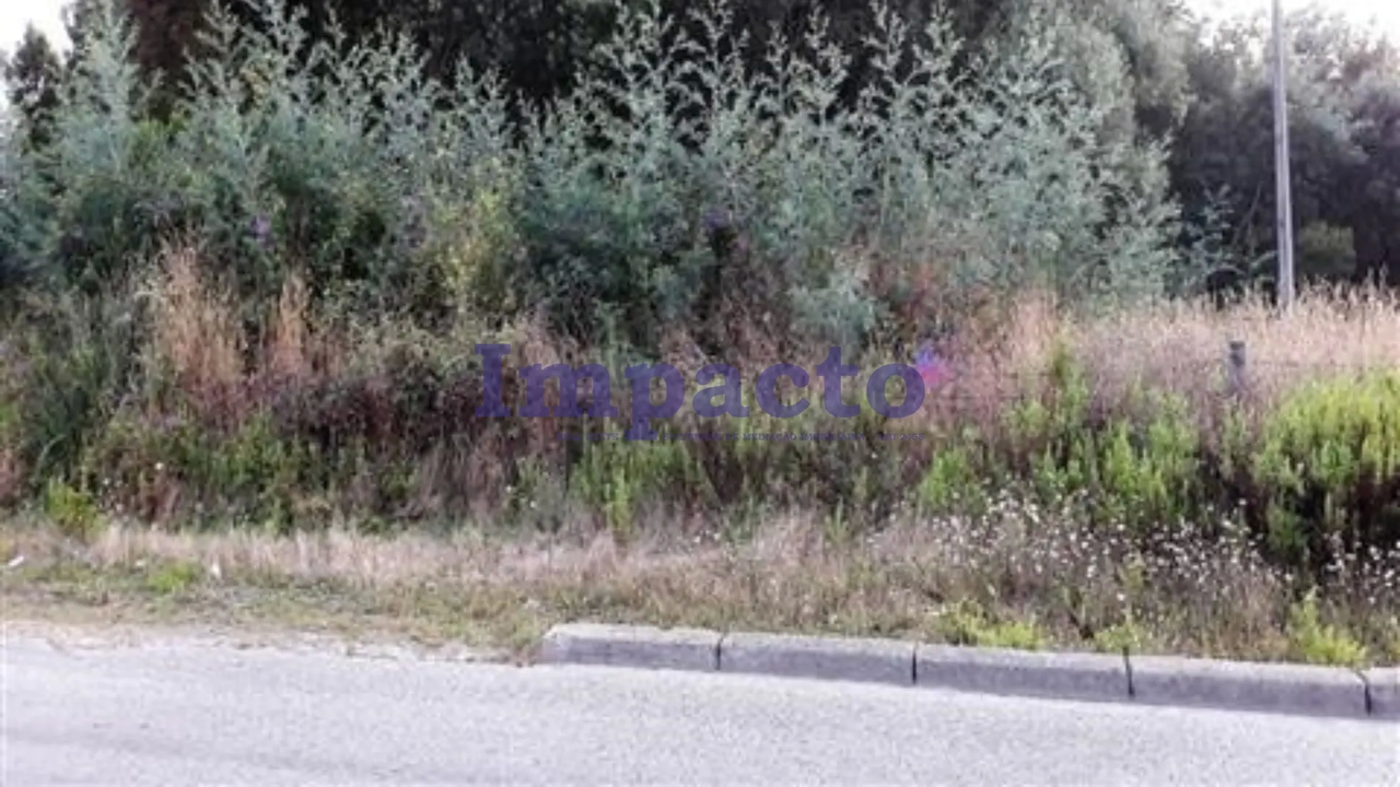 Ver detalhes: Venda Terreno R�stico