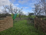 Ver detalhes: Venda Terreno R�stico