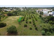Ver detalhes: Venda Terreno R�stico