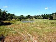 Ver detalhes: Venda Quinta