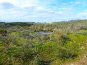 Ver detalhes: Venda Terreno R�stico