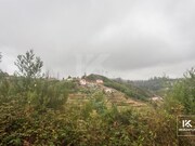 Ver detalhes: Venda Terreno R�stico