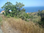 Ver detalhes: Venda Terreno R�stico