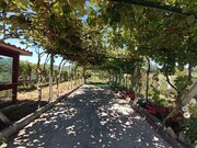 Ver detalhes: Venda Quinta