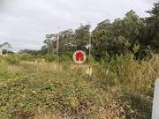 Ver detalhes: Venda Terreno Rstico