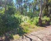 Ver detalhes: Venda Terreno R�stico