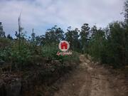 Ver detalhes: Venda Terreno R�stico