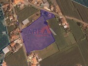 Ver detalhes: Venda Terreno R�stico