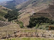 Ver detalhes: Venda Quinta
