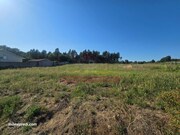 Ver detalhes: Venda Terreno R�stico