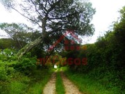 Ver detalhes: Arrendamento Terreno R�stico