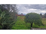 Ver detalhes: Trespasse Terreno R�stico