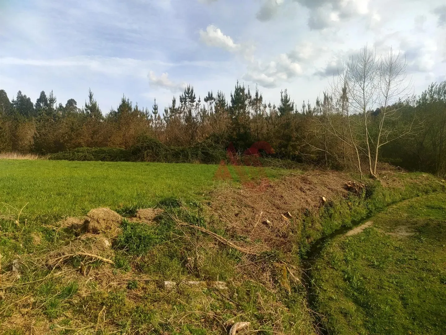Show profile: Sell Rustic Land T0