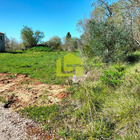 Ver detalhes: Venda Terreno R�stico