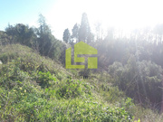 Ver detalhes: Venda Terreno R�stico