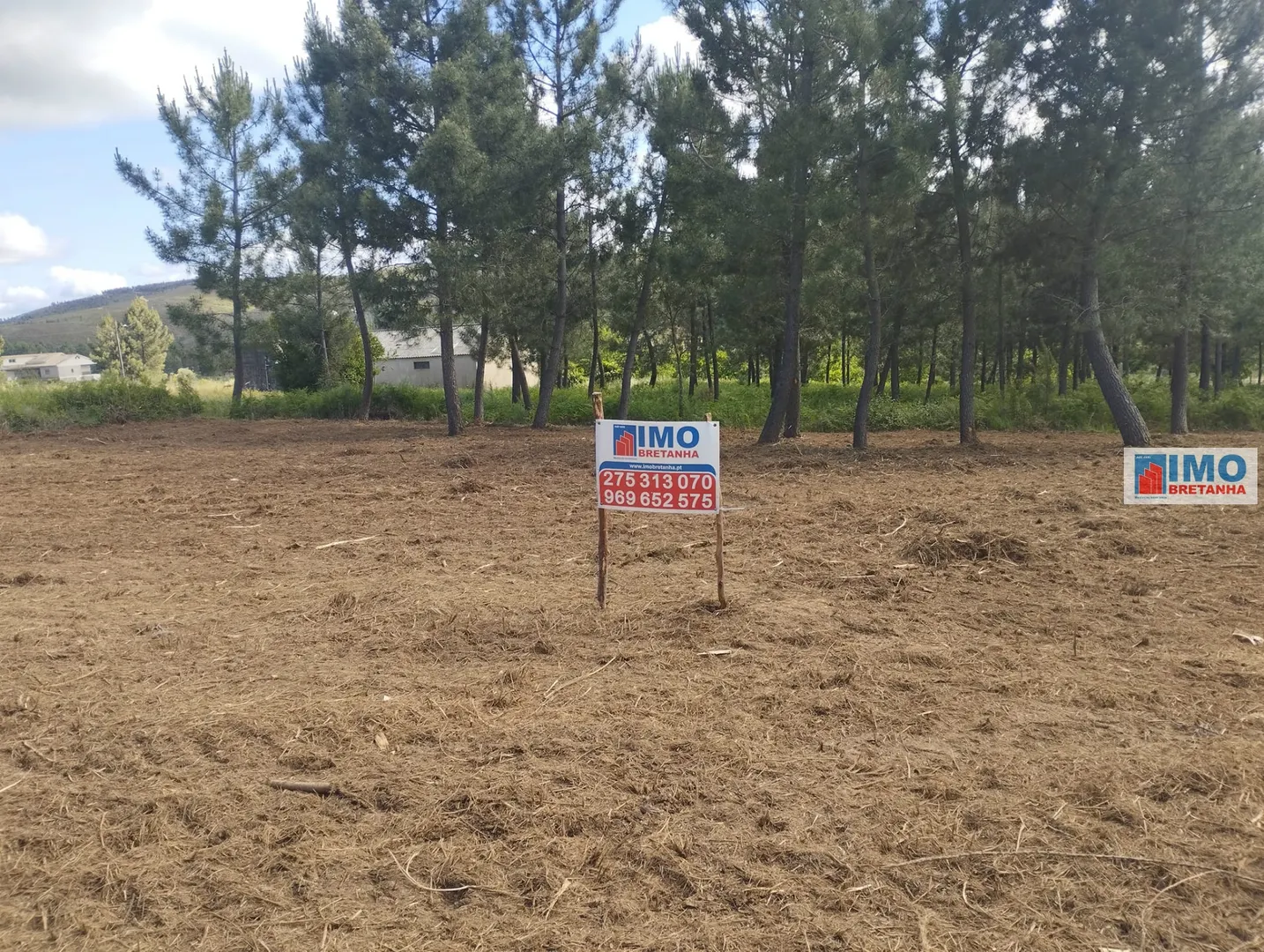 Ver detalhes: Venda Terreno R�stico T0