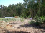 Ver detalhes: Venda Terreno R�stico